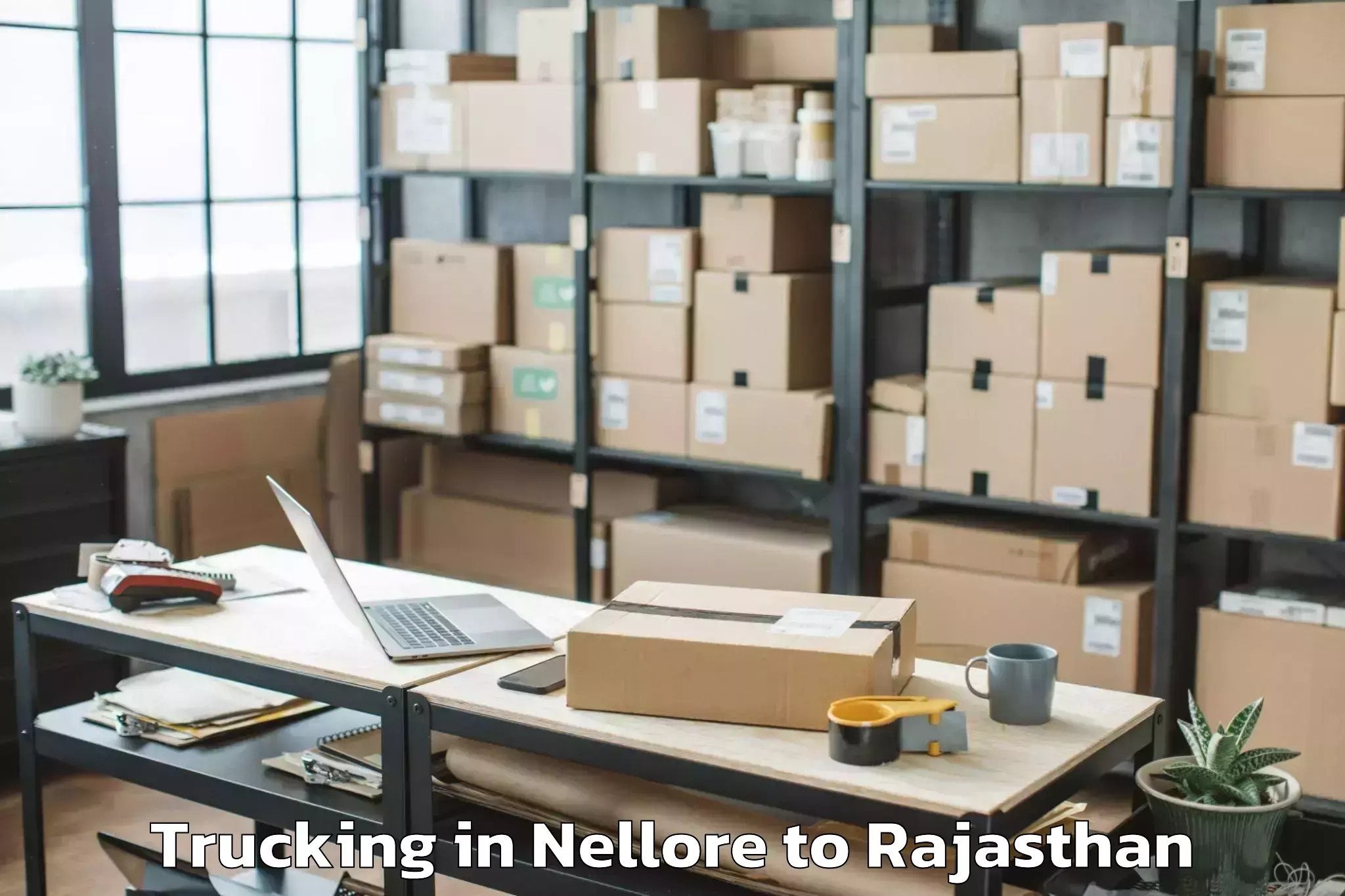 Book Nellore to Jecrc University Jaipur Trucking Online